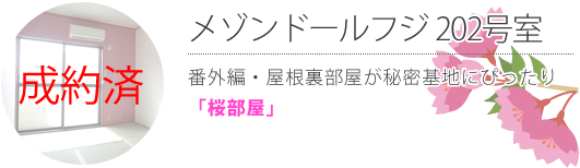 【成約済】メゾンドールフジ202号室