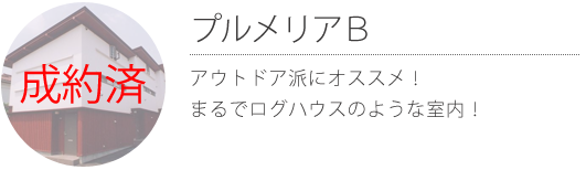 プルメリアＢ